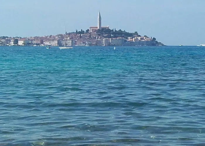 公寓 伊娃公寓 *