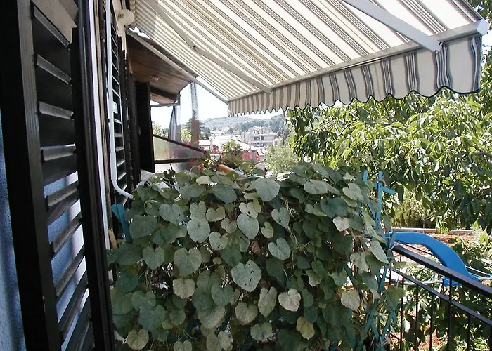 公寓 伊娃公寓 罗维尼