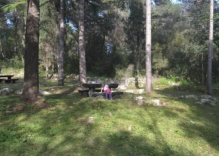 아파트먼트 이바 아파트