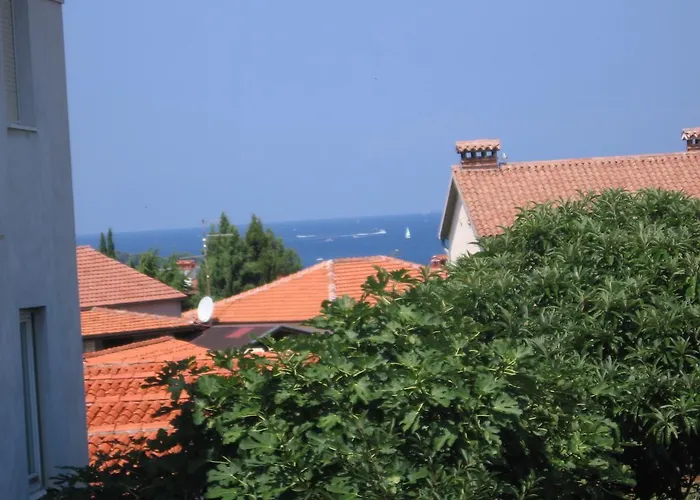 아파트 아파트먼트 이바 로비니