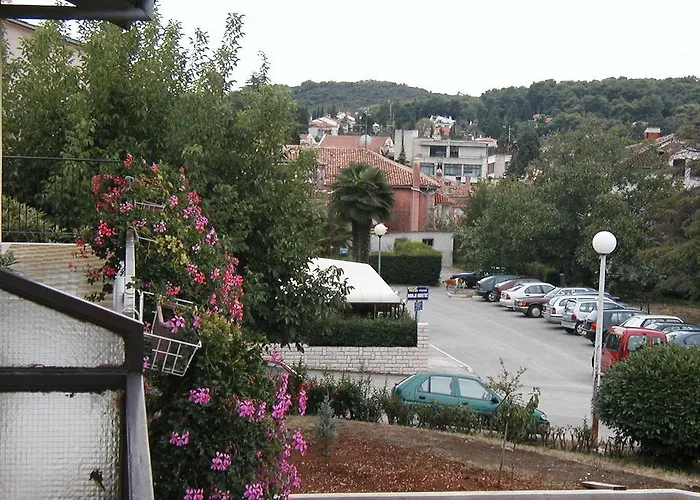 아파트먼트 이바 로비니