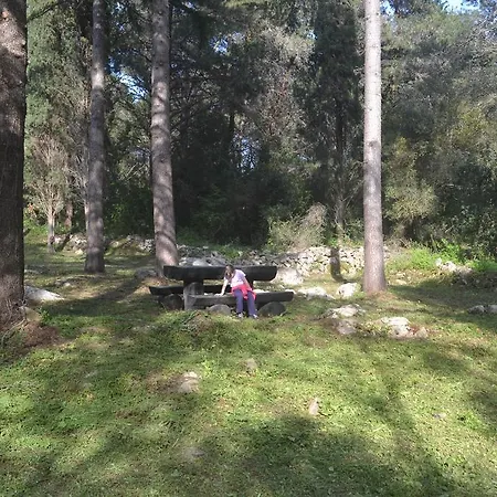 Iva Apartmán