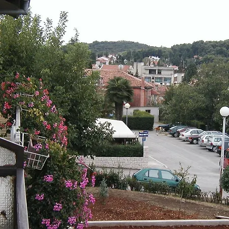 Iva Rovinj